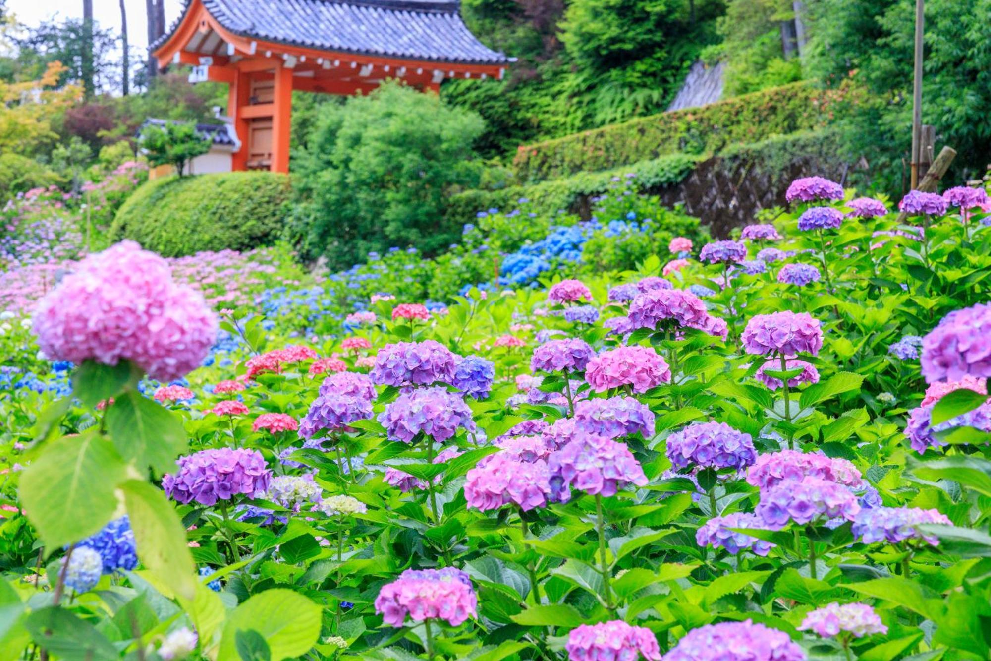 Mimaru Suites Kyoto Central מראה חיצוני תמונה